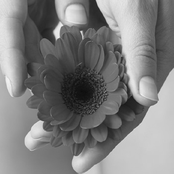 a hand holding a flower